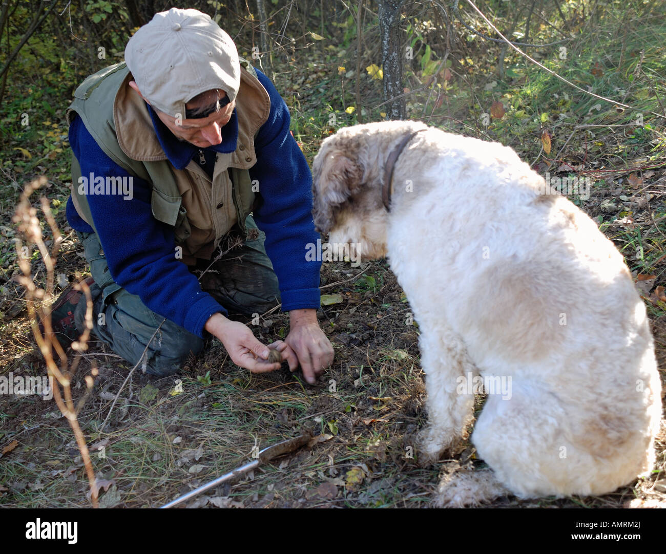 A truffle hunter with his dog in the woods in Italy Stock Photo Alamy