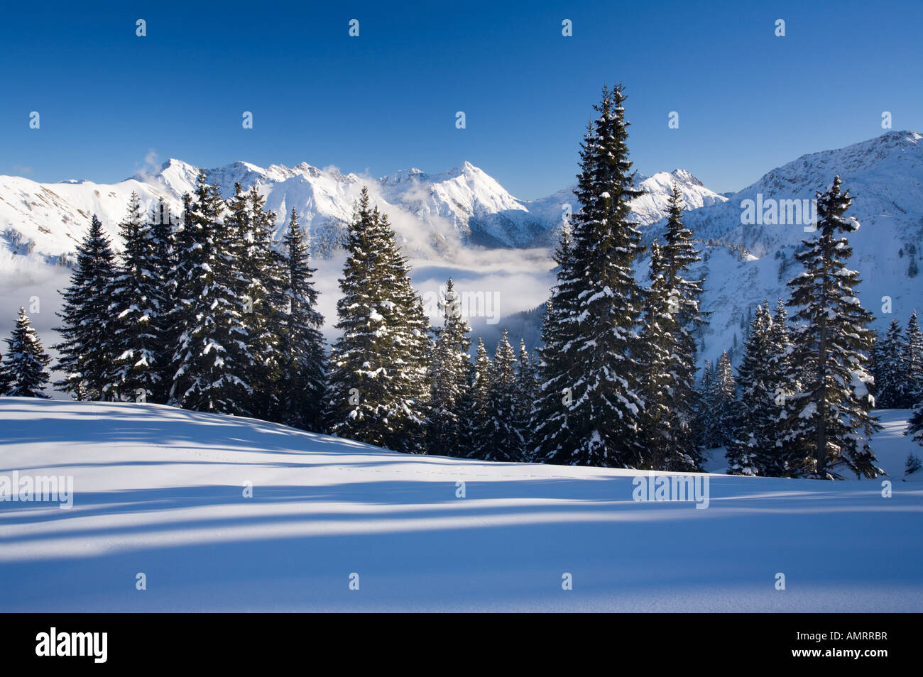 cold winter day in the Austrian Alps near Reutte Tirol Europe Stock ...