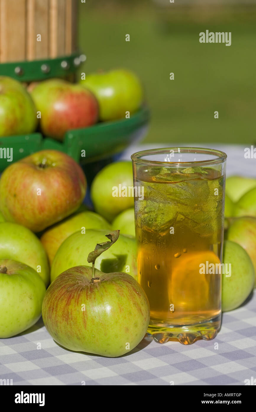 Traditional apple press for making apple juice and cider With Bramley