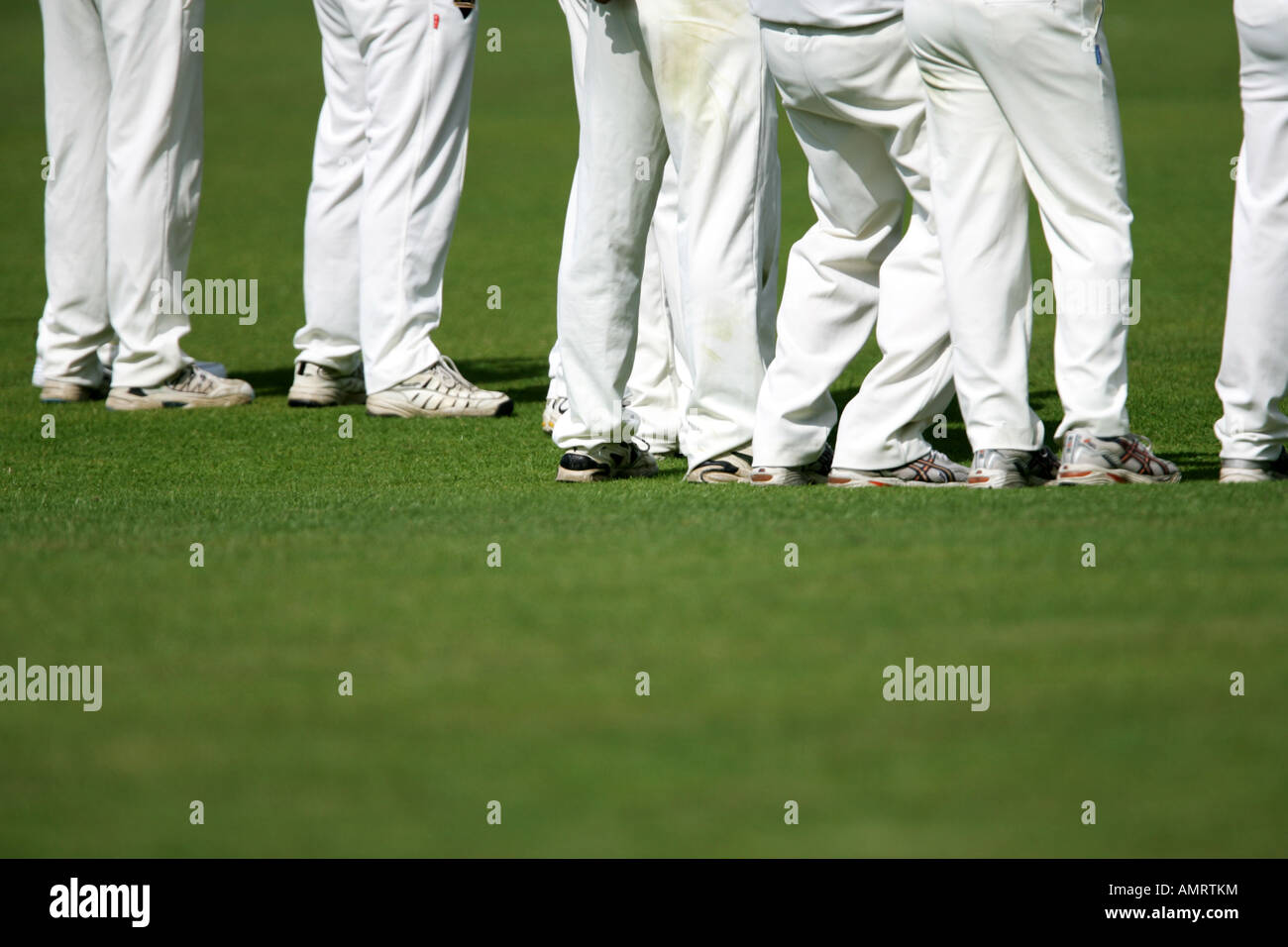 Cricket legs hires stock photography and images Alamy