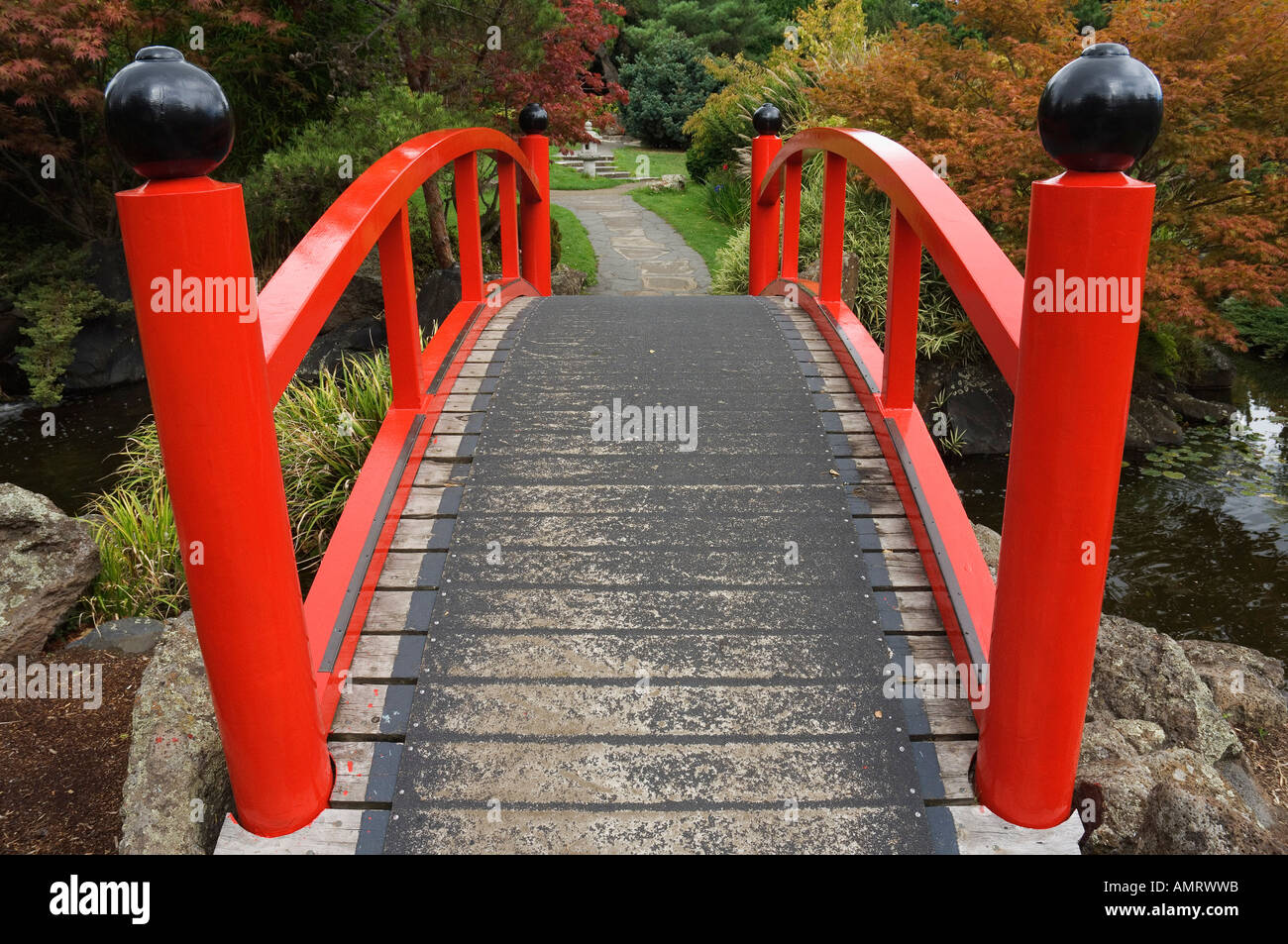 Royal Tasmanian Botanical Gardens Hobart, Tasmania, Australia Stock Photo