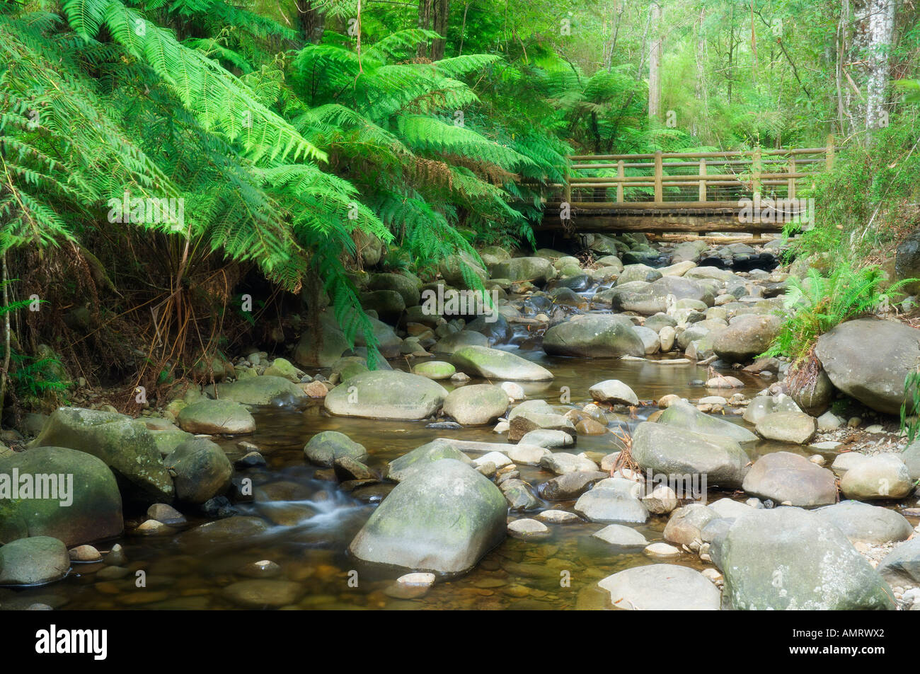 Yarra Ranges National Park, Victoria, Australia Stock Photo Alamy