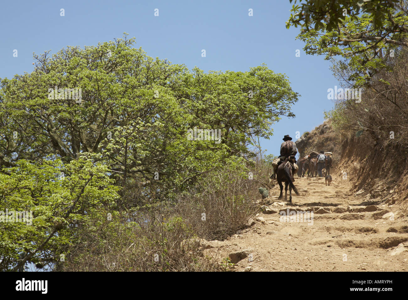 Inca trail ruins trek peru andes hi-res stock photography and images ...