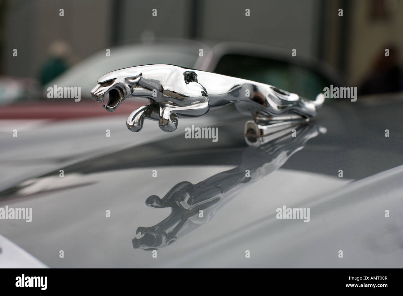 Bonnet decoration from an E-Type Jaguar 