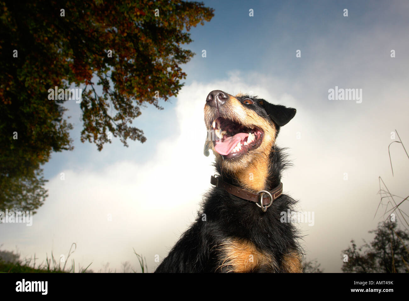 photo of Stock Photo