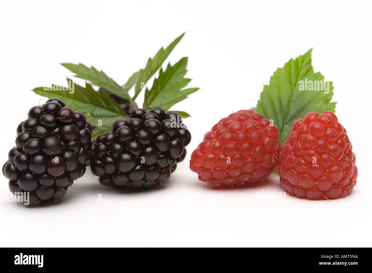 Fruits and berries black silhouettes hi-res stock photography and ...