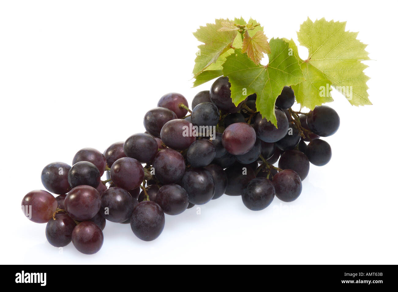 Red grapes, close-up Stock Photo