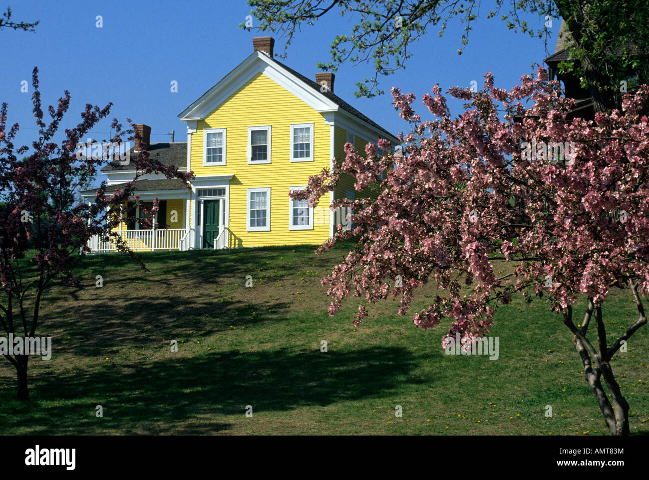 HISTORIC HOME IN THE IRVINE PARK NEIGHBORHOOD OF ST. PAUL, MINNESOTA. SPRINGTIME FLOWERING TREES. Stock Photo
