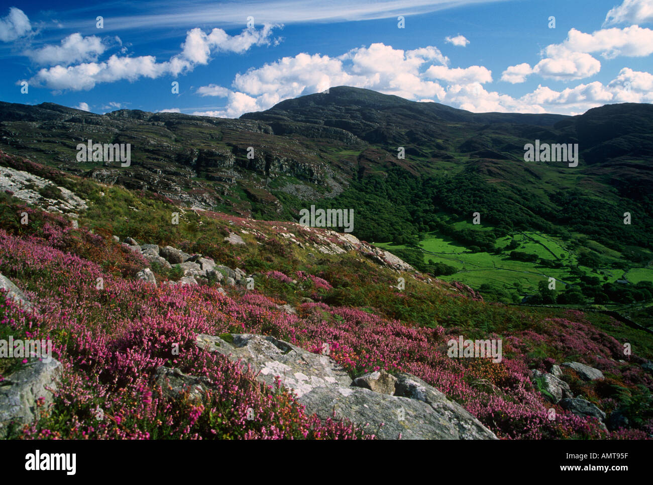 The rhinog mountain range hi-res stock photography and images - Alamy