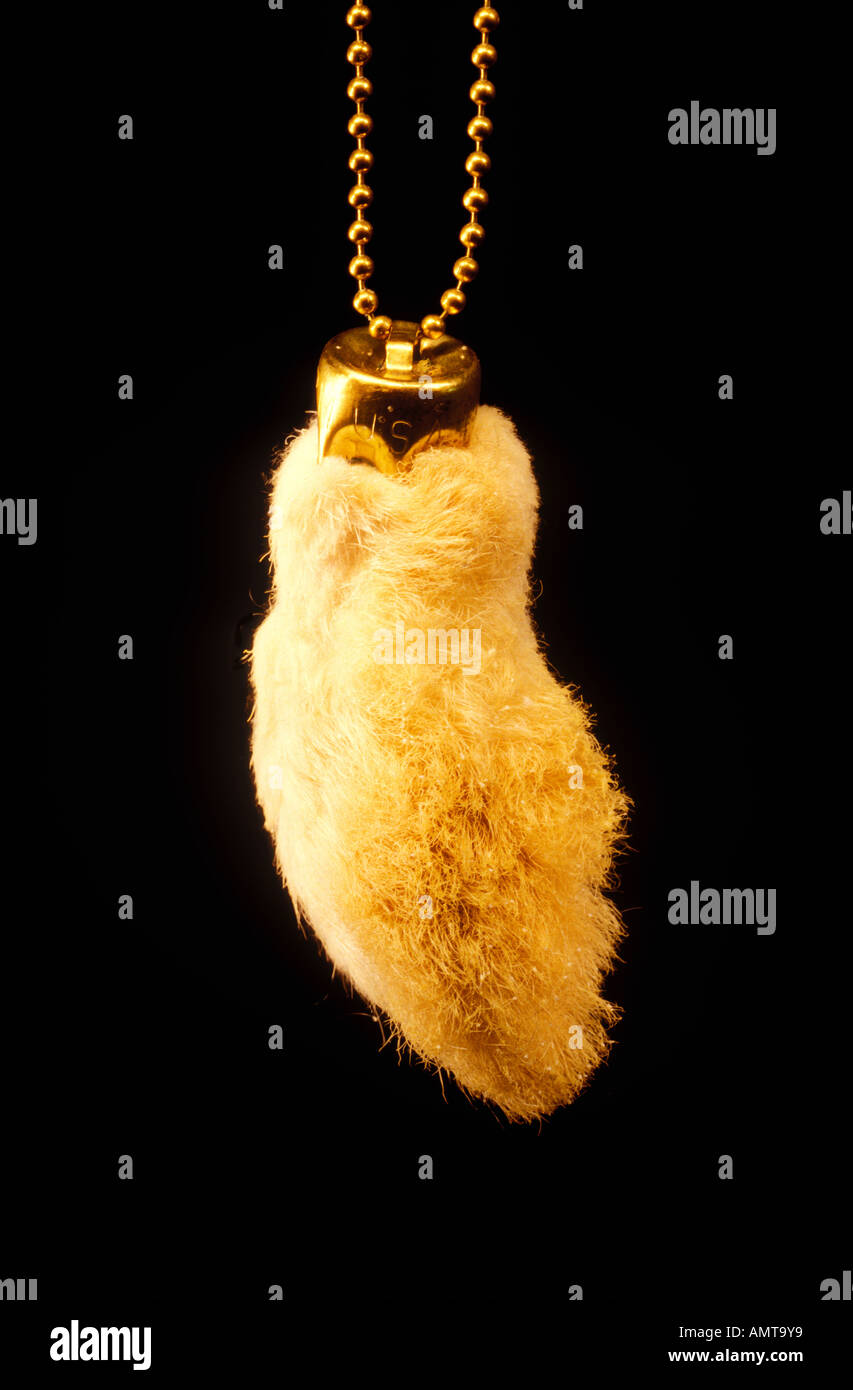 Rabbit's foot keychain hi-res stock photography and images - Alamy