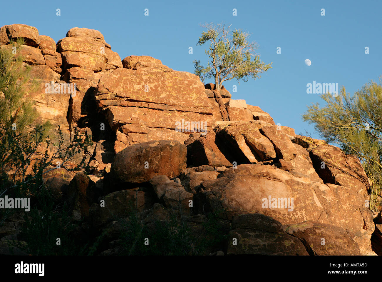 Hohokam Indian petroglyphs at a site called Picture Rocks in southern ...