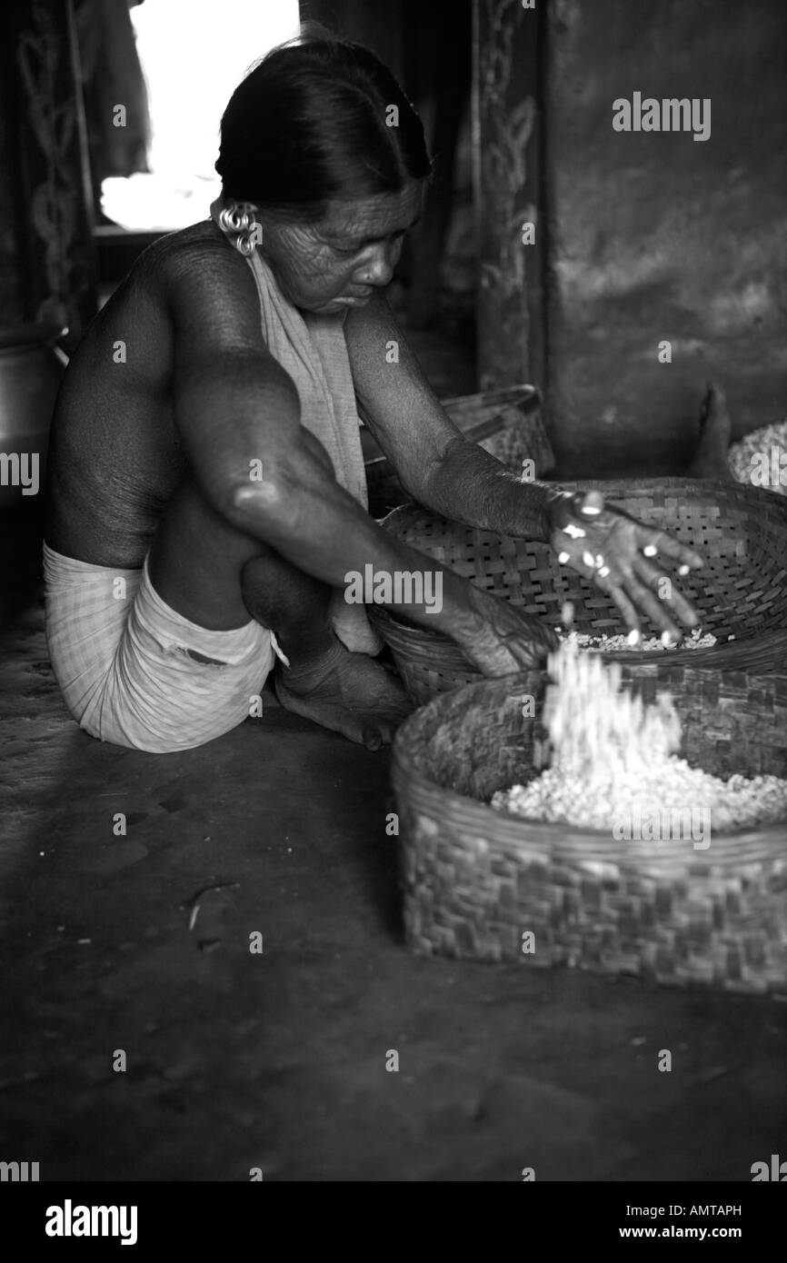 Preparing rice at a village near Kotagarh, Orissa, India Stock Photo