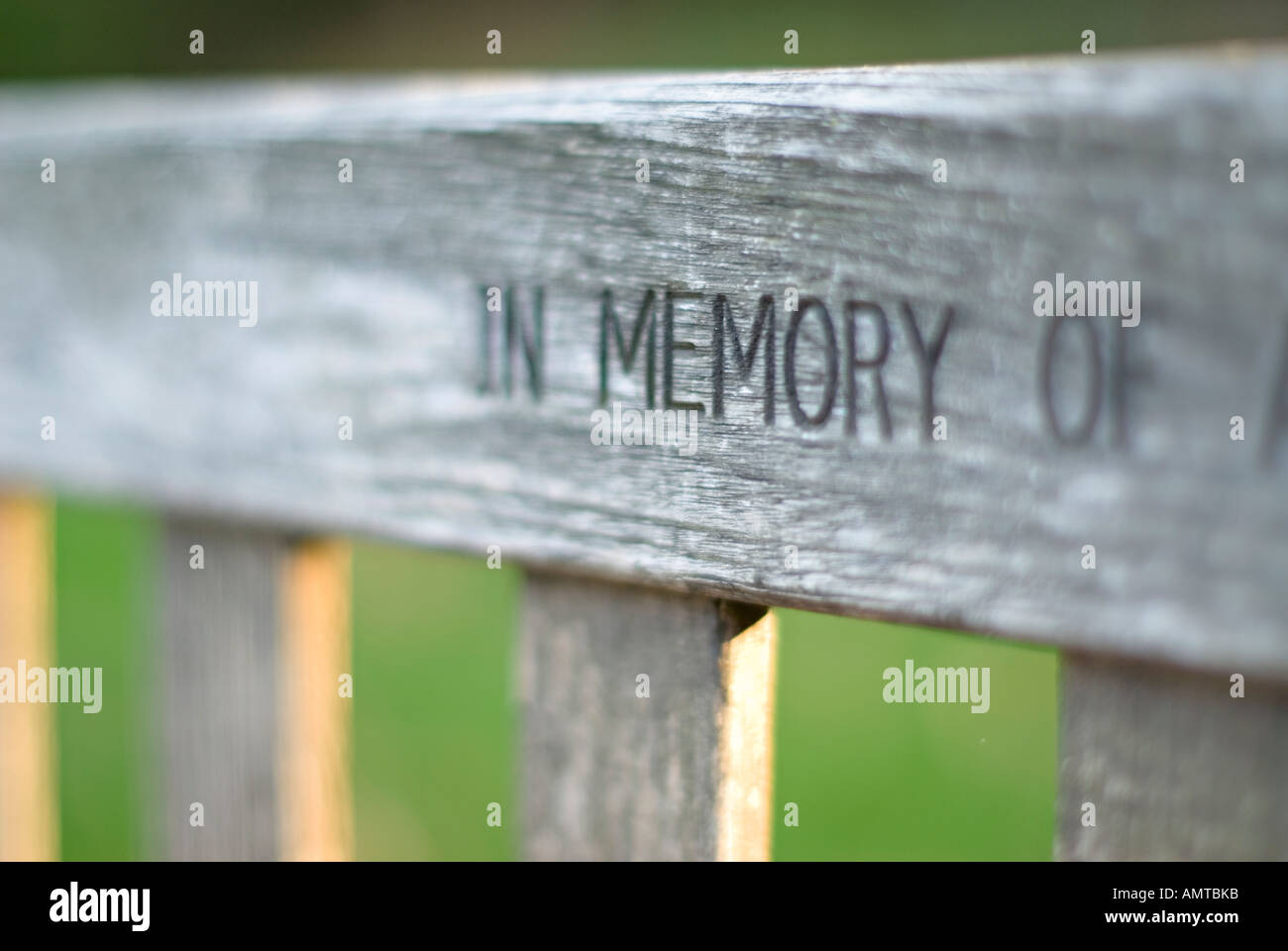 Detail of a dedication IN MEMORY OF on a bench in Royal Hospital gardens Chelsea London England Stock Photo