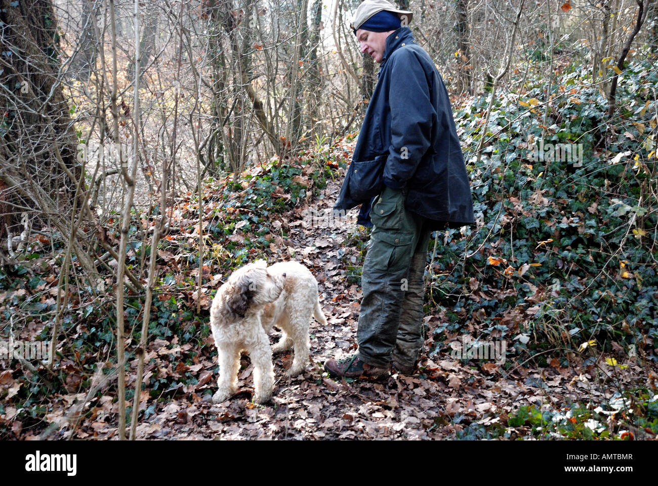 A truffle hunter with his dog in the woods in Italy Stock Photo Alamy
