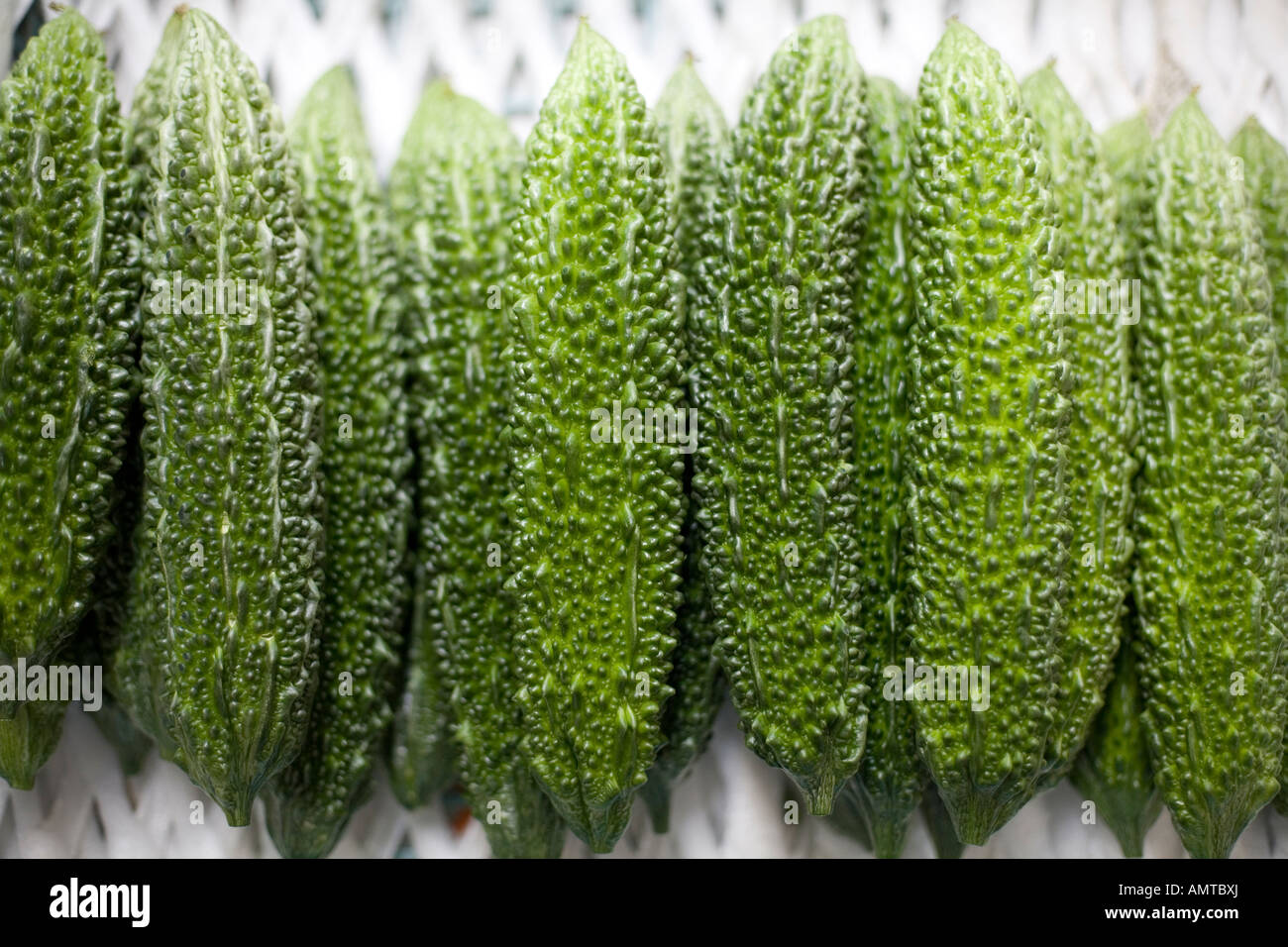 Bitter gourd hires stock photography and images Alamy