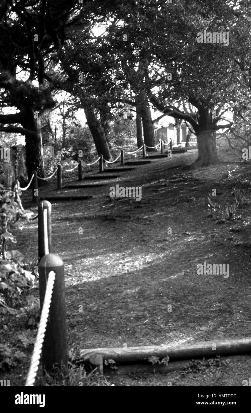 Woodland Pathway Teignmouth Devon Stock Photo - Alamy