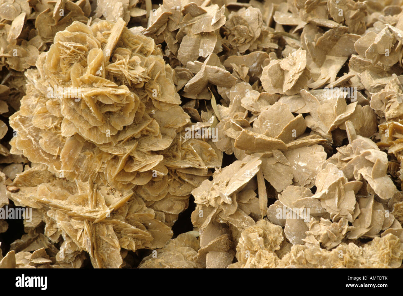 The Saharan desert roses - crystalline stones Stock Photo - Alamy