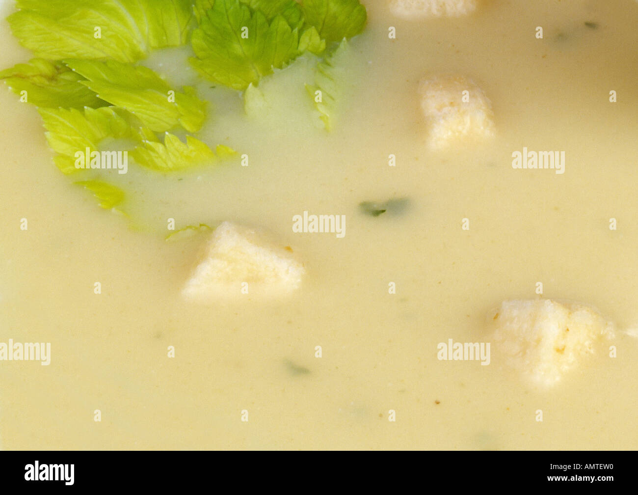 Chicken soup Stock Photo