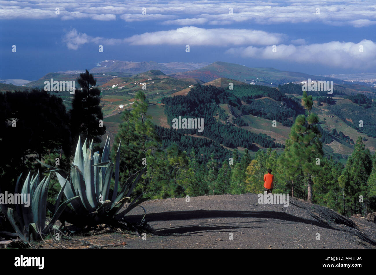 Caldera Pinos de Caldar view to NW pine forests farms island Gran Canaria Canary Islands Spain Stock Photo