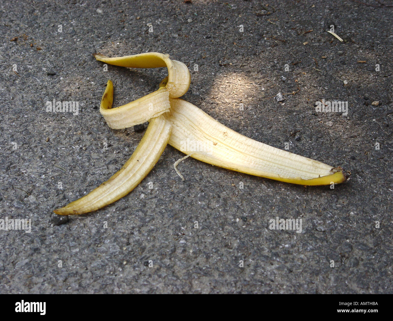 Banana skin on the road as symbol for slipping falling down etc  Stock Photo