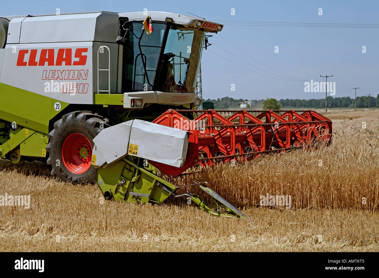 combine harvester starting to thresh winter barley Stock Photo