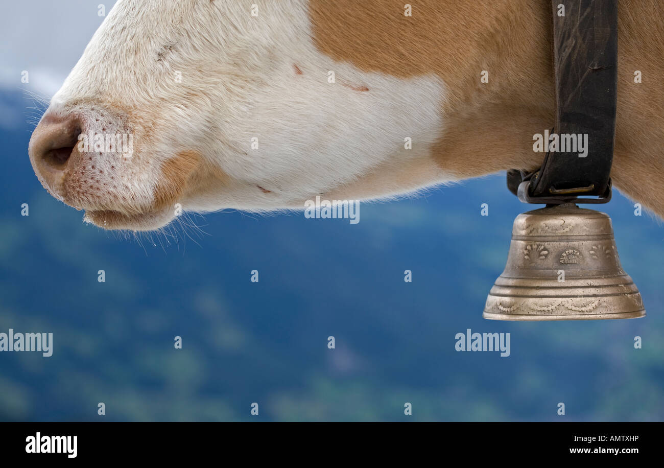 Close up cow bell hi-res stock photography and images - Page 6 - Alamy