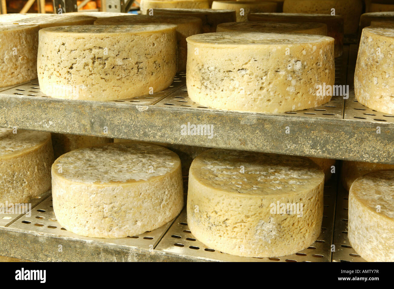 Cabrales cheese cave hires stock photography and images Alamy