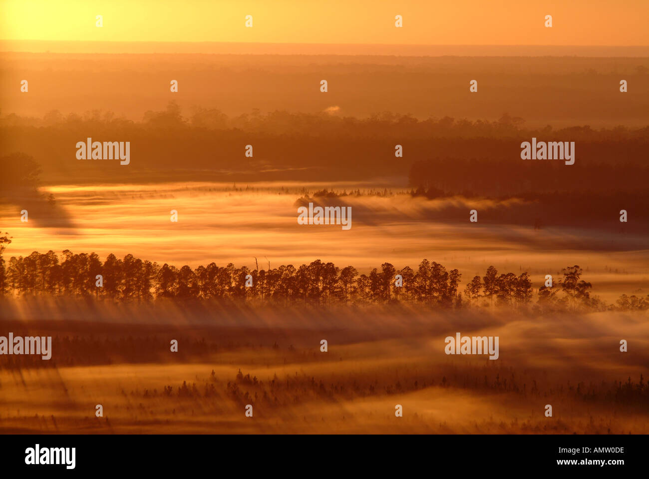 Sunrise, Bribie Island, Queensland, Australia Stock Photo - Alamy