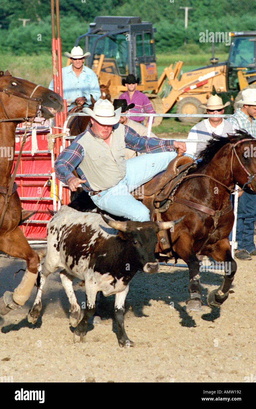 Rodeo horse sporting event Stock Photo Alamy