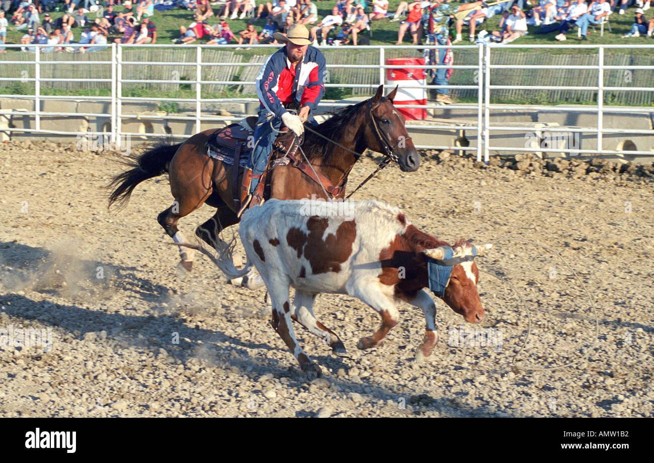 Rodeo horse sporting event Stock Photo
