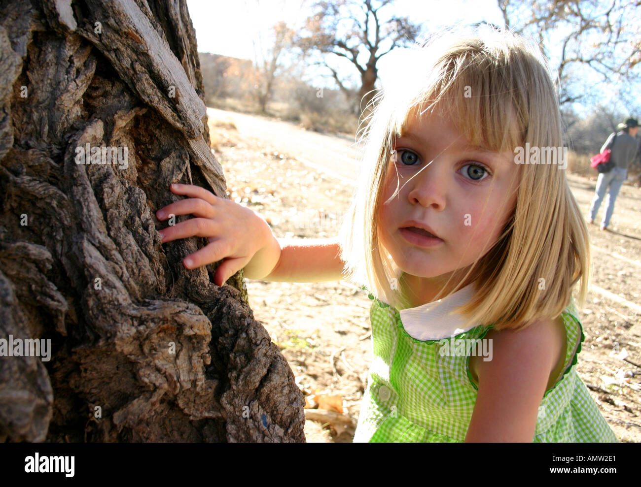 Staring Behind Tree Girl hiding behind tree hi-res stock photography and images - Alamy