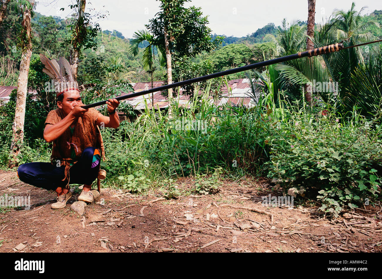 An Iban tribesman demonstrates the use of a blowpipe, at Engkari village, in Sarawak, Borneo, Malaysia. Stock Photo