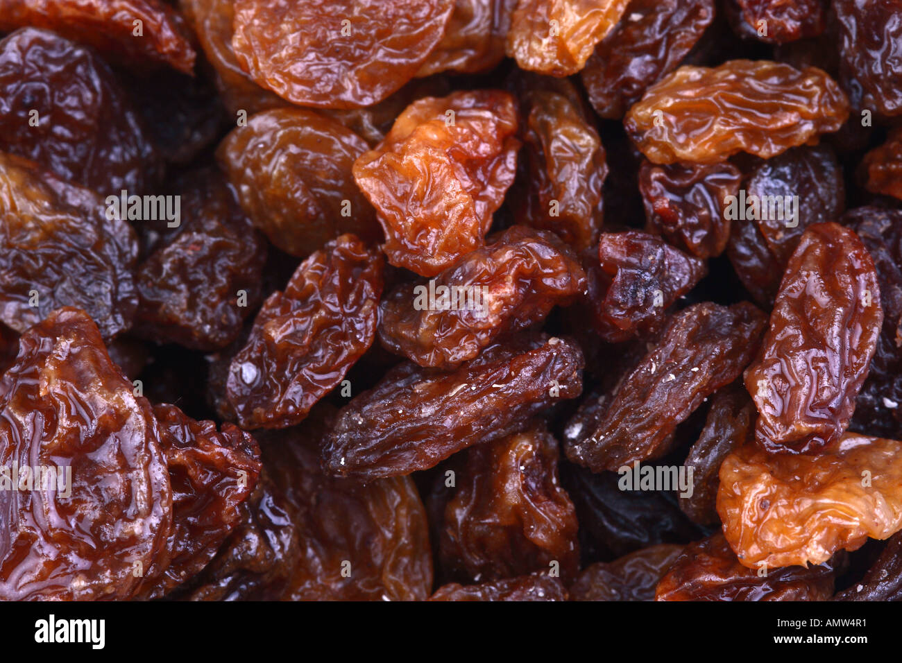 Swelled Raisin Shriveled grapes hi-res stock photography and images - Alamy