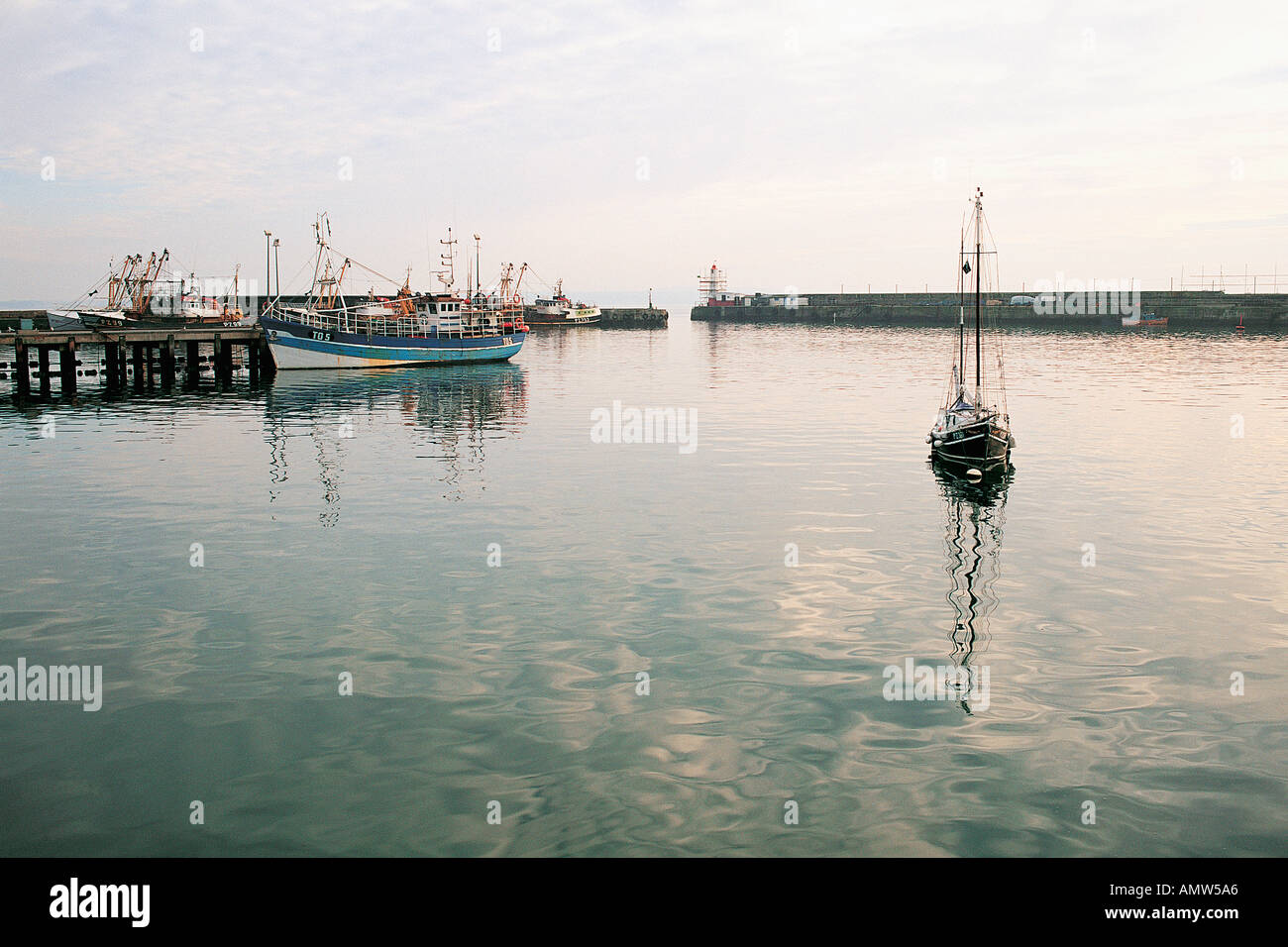 The fishing harbour at Newlyn near Penzance Cornwall Great Britain Stock Photo