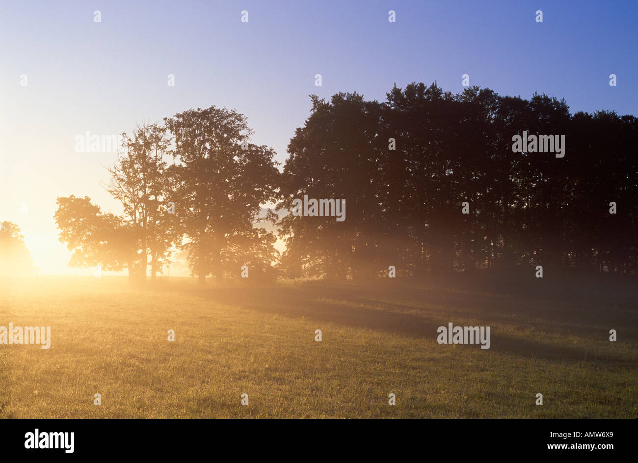 Morning mood Upper Bavaria Germany Stock Photo