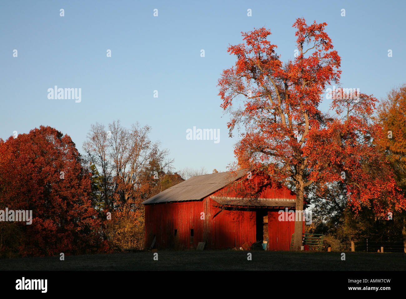 Barn in fall in South Carolina Stock Photo - Alamy