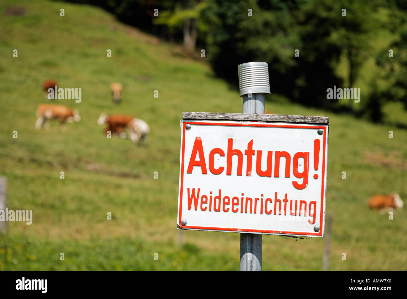 Sign ' Achtung! Weideeinrichtung ' caution! cattle grid , Upper Bavaria, Germany Stock Photo