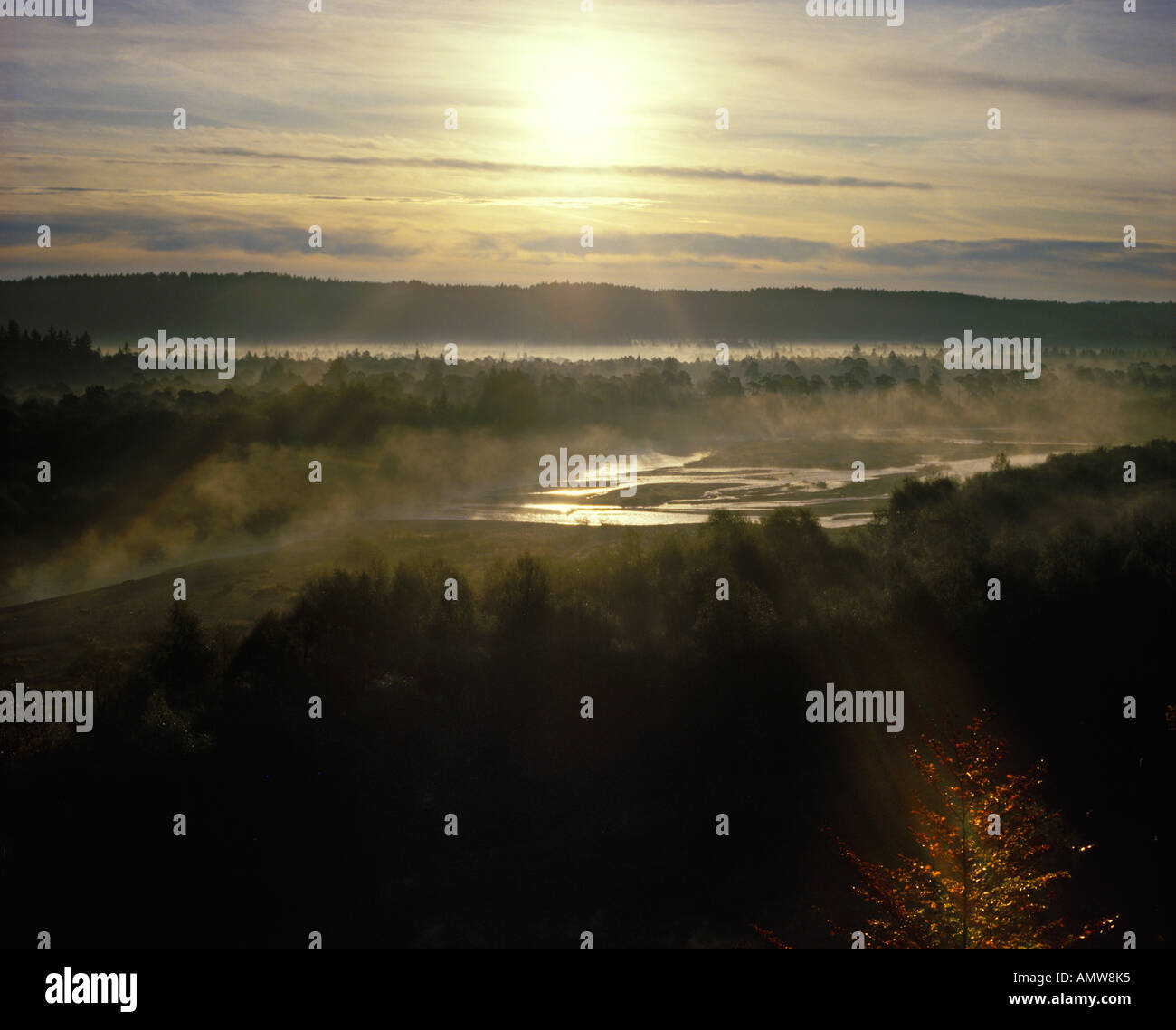 Pupplinger Au Isar river in morning light Bavaria Germany Stock Photo