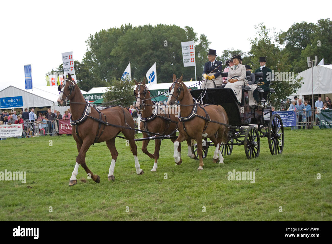 Carriage driving demonstration in main ring Moreton Show 2007 Cotswolds UK Stock Photo