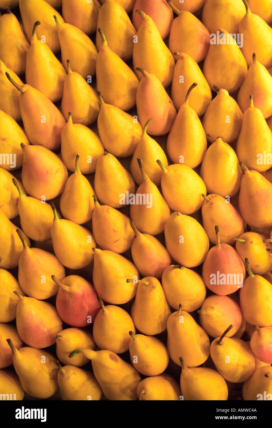 Stream Line Pears Pear line hi-res stock photography and images - Alamy