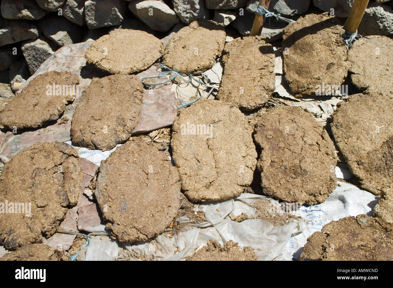 Cow chips as a natural heating material, Ladakh, Jammu and Kashmir, India Stock Photo