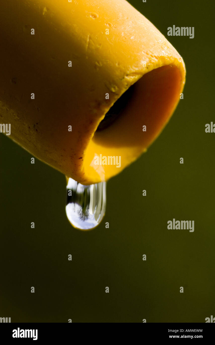 Hose pipe ban Stock Photo Alamy