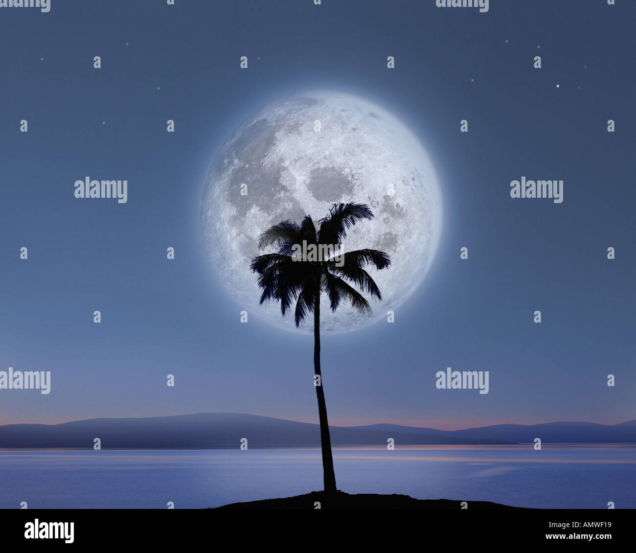 DIGITAL CONCEPT: Lone Palm and Moon Stock Photo