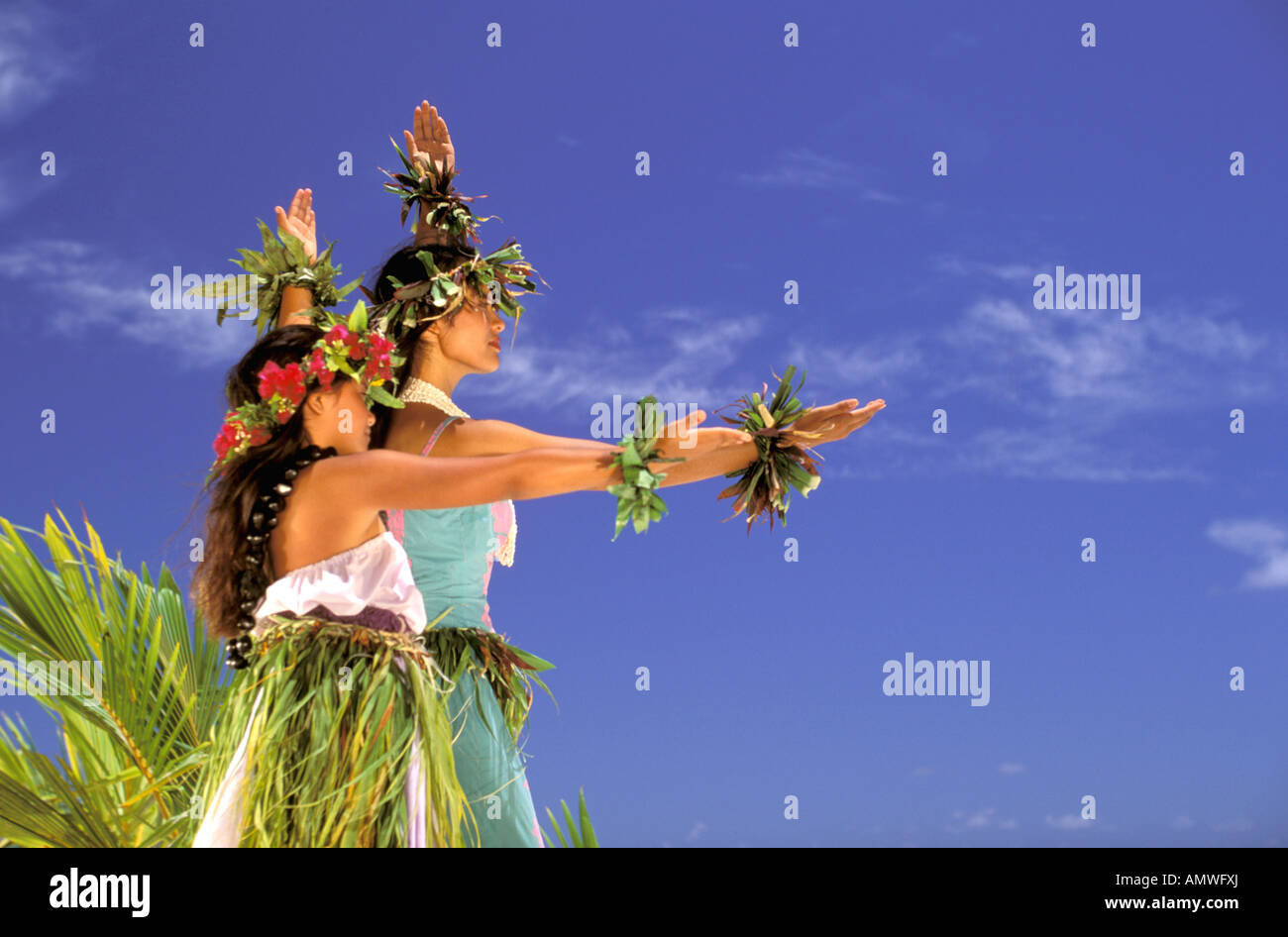 Hawaiian Woman Dancing Her Grass Skirt Stock Photo 263735270