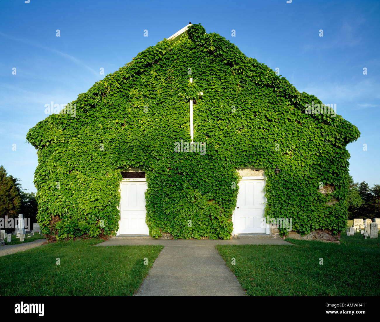 Asbury United Methodist Church Covered In Ivy At Route 30 West Of Mcconnellsburg, Fulton County