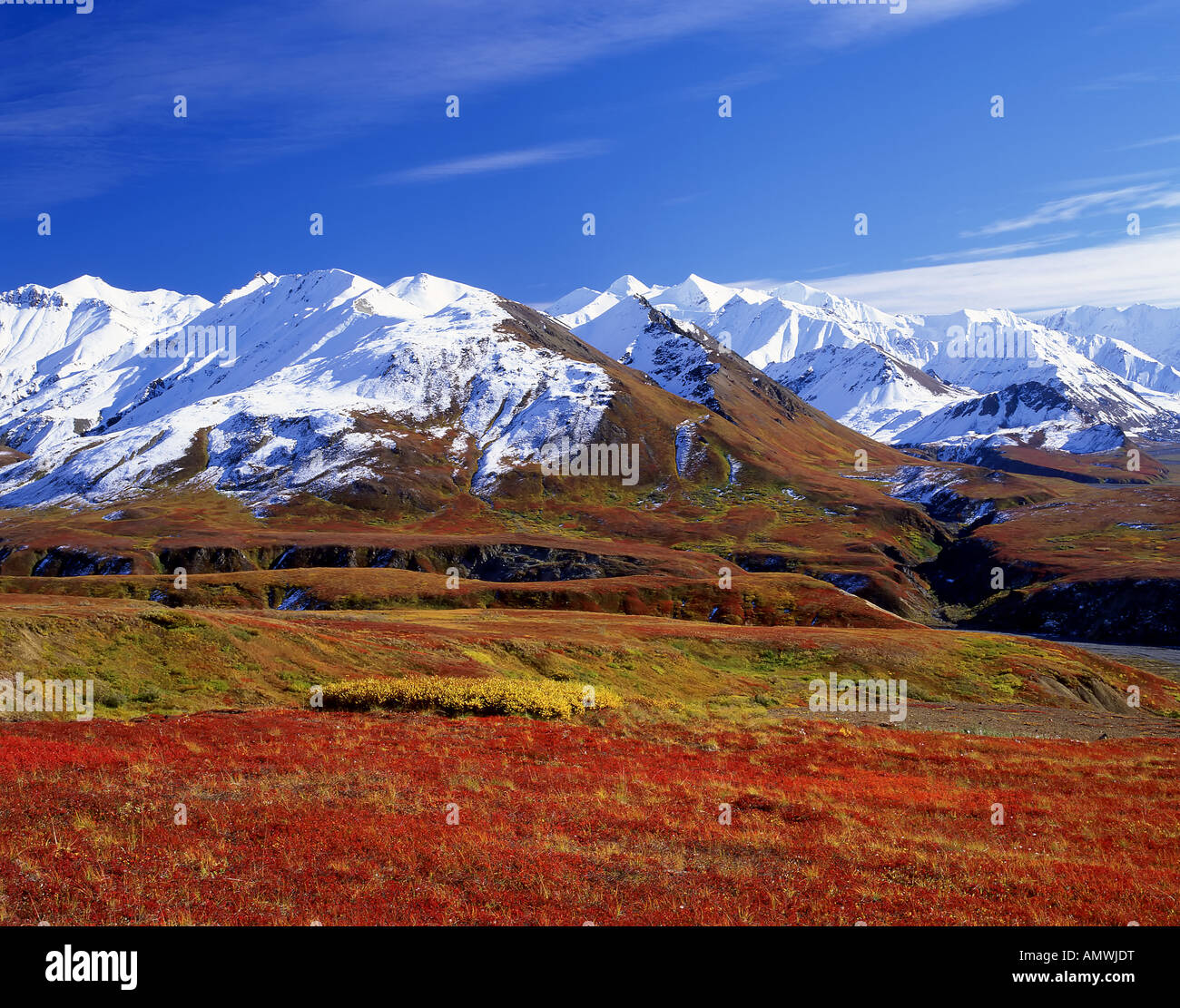 5,090,178 colorful stock images are available royalty-free. Doing this will save the Colorful picture to your account for easy access to it in the future. We hope you enjoy this Colorful Pinterest / Facebook / Tumblr image and we hope you share it with your friends. Incoming search terms: Pictures of Colorful, Colorful Pinterest Pictures, Colorful Facebook Images, Colorful Photos for Tumblr.