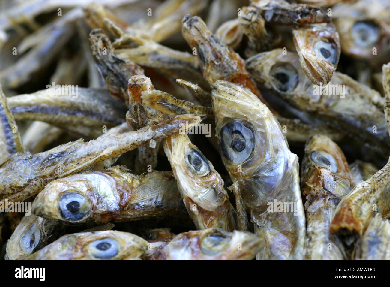 anchovy, European anchovy (Engraulis encrasicholus), dried anchovies Stock Photo