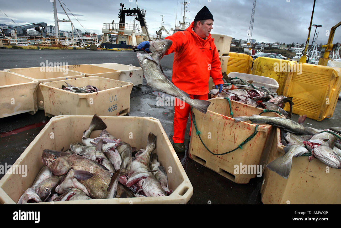The dock in Hafnarfjordur in Iceland Stock Photo - Alamy