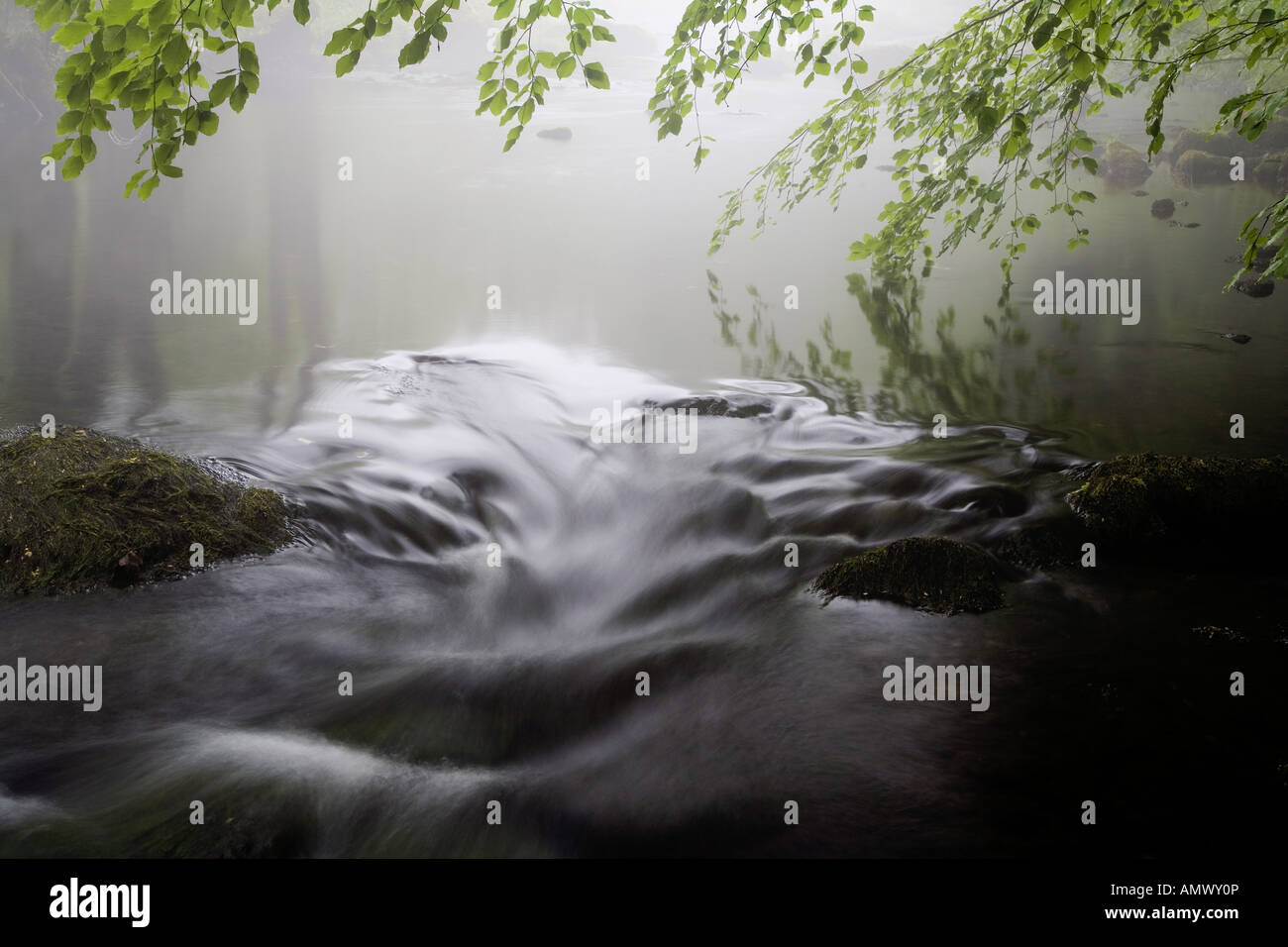 forest creek in spring, Germany, Saxony, Vogtlaendische Schweiz Stock Photo