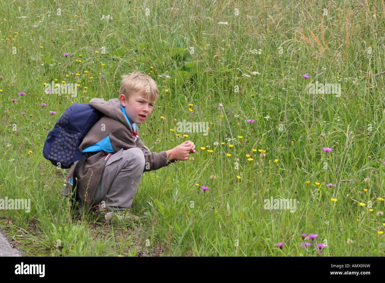 boy kneeing in front of a flower meadow, Germany, Bavaria, Allgaeu, Nesselwang Stock Photo